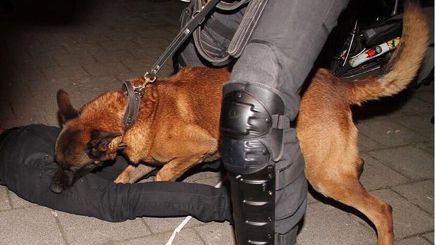 Hollanda polisi köpekleriyle Türklere Saldırdı.. 1