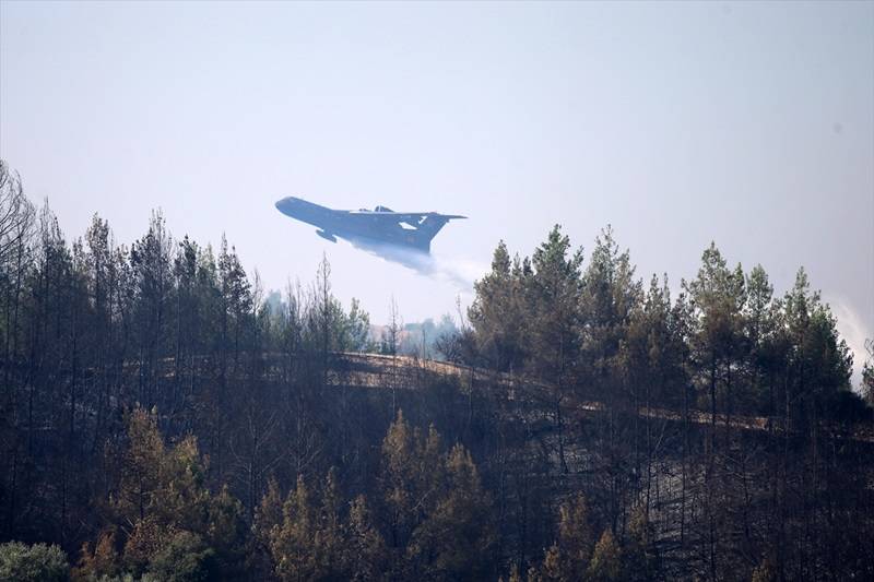 Adana Aladağ'daki orman yangınına müdahale ediliyor 3