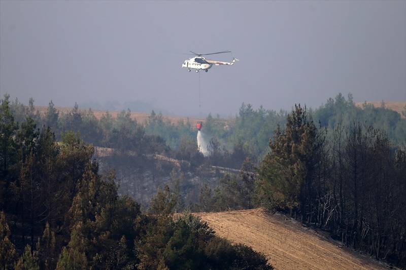 Adana Aladağ'daki orman yangınına müdahale ediliyor 6