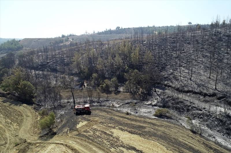 Adana Aladağ'daki orman yangınına müdahale ediliyor 9