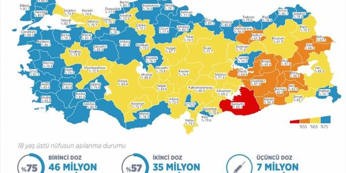 Türkiye Kovid-19 aşı tablosu