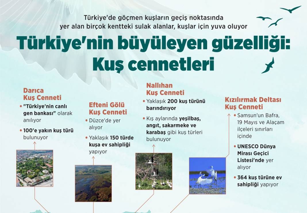 Türkiye'nin büyüleyen güzelliği: Kuş cennetleri 1