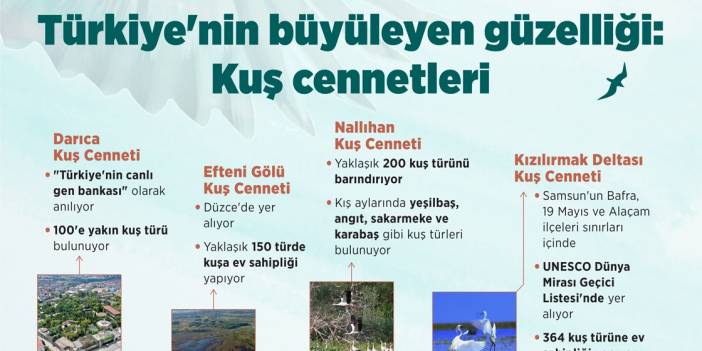 Türkiye'nin büyüleyen güzelliği: Kuş cennetleri