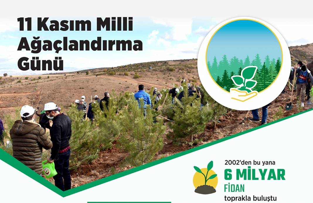 11 Kasım Milli Ağaçlandırma Günü 1