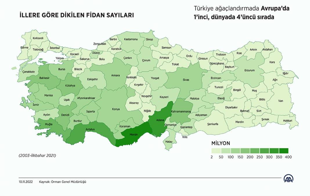 11 Kasım Milli Ağaçlandırma Günü 2