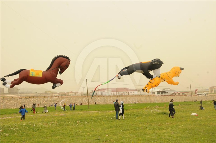 'Uluslararası Mardin Uçurtma Festivali' ilk kez düzenlendi 1