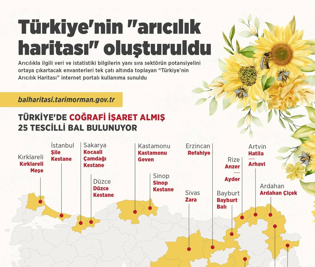 Türkiye'nin "arıcılık haritası" oluşturuldu 1