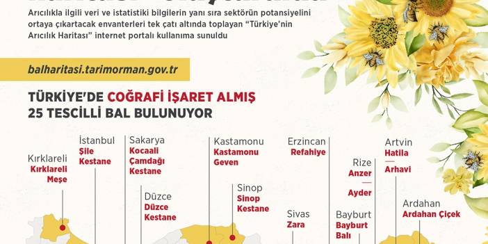 Türkiye'nin "arıcılık haritası" oluşturuldu