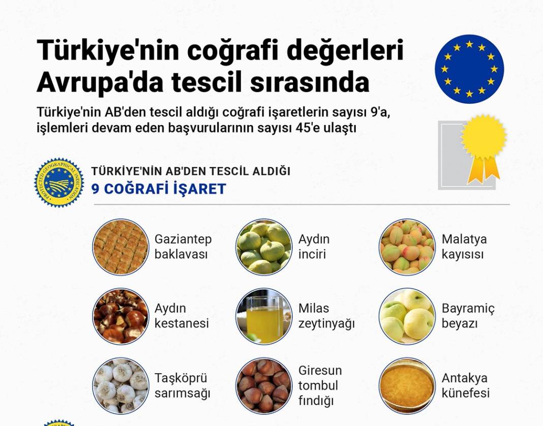 Türkiye'nin coğrafi değerleri Avrupa'da tescil sırasında 1