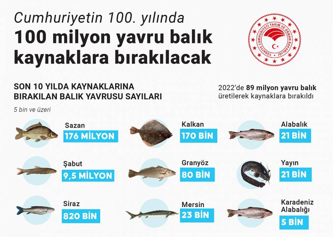 Cumhuriyetin 100. yılında 100 milyon yavru balık kaynaklara bırakılacak 1