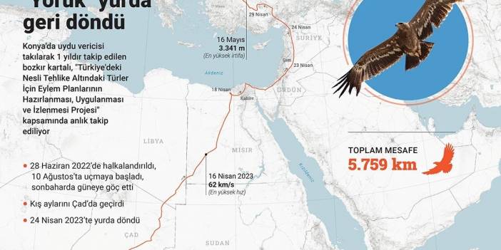 Bozkır kartalı "Yörük" yurda geri döndü