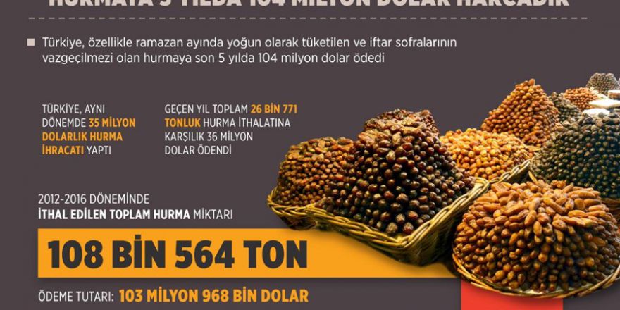 Hurmaya 5 yılda 104 milyon dolar harcadık