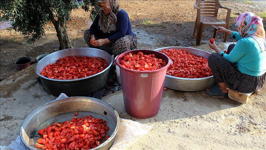 Hataylı kadınları kışlık yiyecek telaşı sardı 1