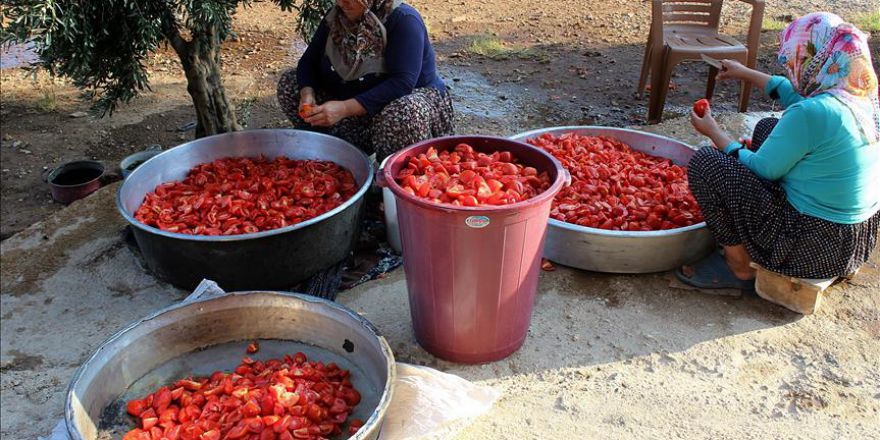 Hataylı kadınları kışlık yiyecek telaşı sardı