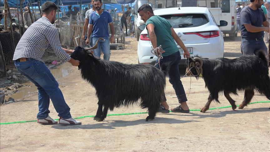 Kurban pazarlarında arife yoğunluğu 1