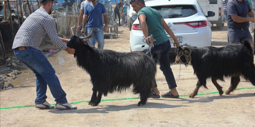 Kurban pazarlarında arife yoğunluğu