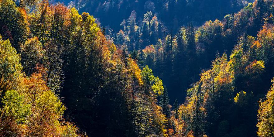 Yayla Yolu Boyu Bu Manzaralarla Hep İç İçe Çıktık Torkul Gölüne Kadar..