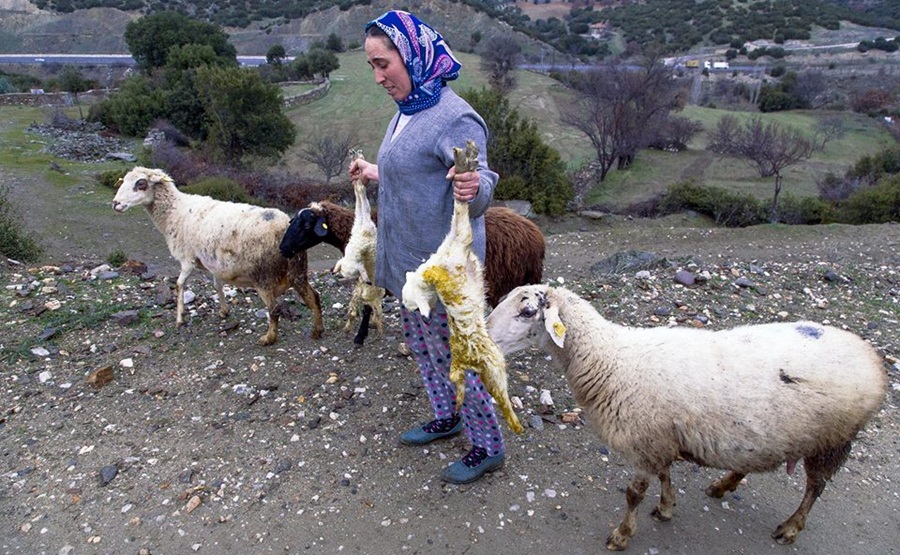 Bursa Yenişehir’den.. 3