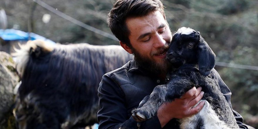 'Keçilere fısıldayan' adama sosyal medyada ilgi