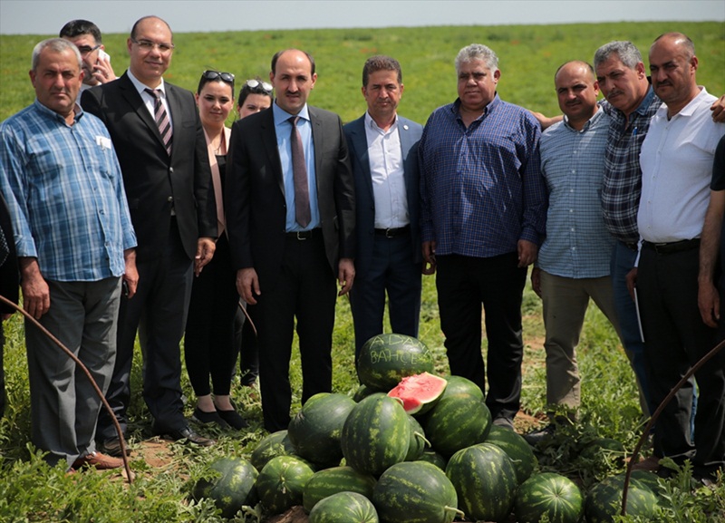 Adana'da 'ham karpuz timleri' iş başında 2