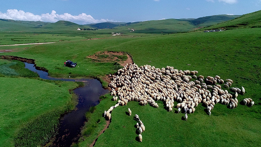 Perşembe Yaylası ziyaretçilerini büyülüyor 4