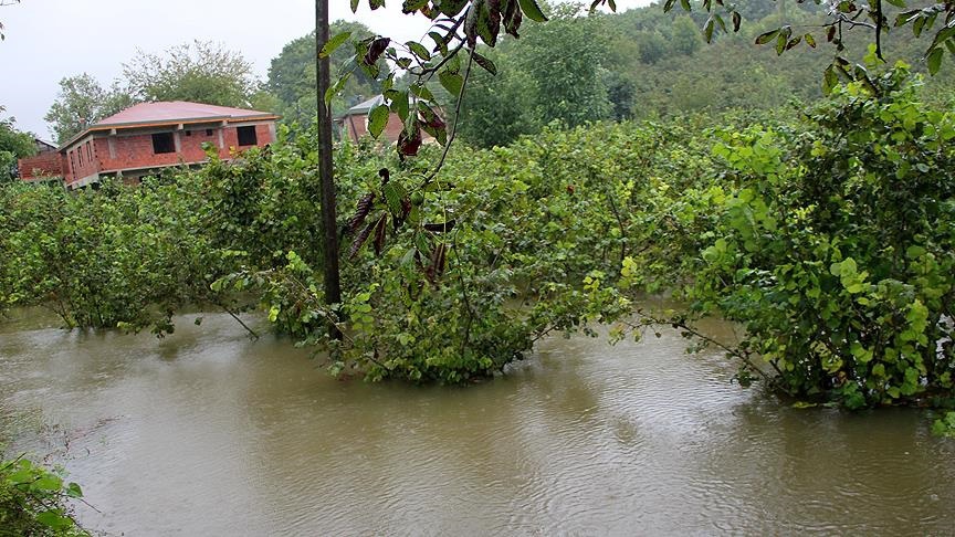 Ordu'nun ilçelerini sel vurdu 11