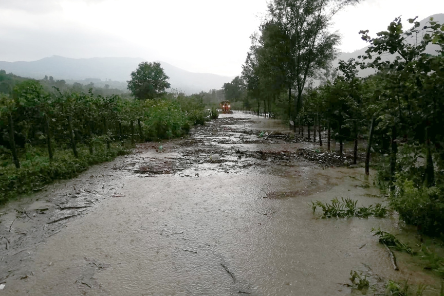 Ordu'nun ilçelerini sel vurdu 2