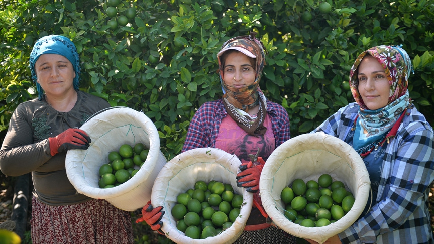 Limon hasadında yük kadınlarda 1