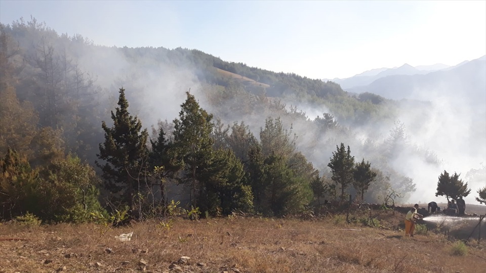 Adana'da orman yangını 5