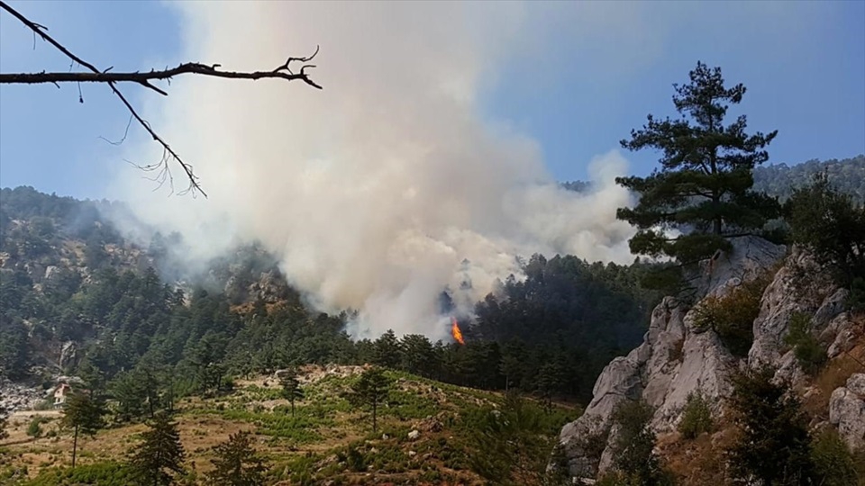 Adana'da orman yangını 7