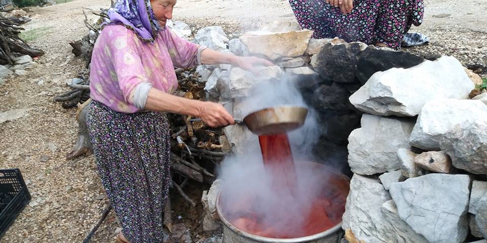 Barakdağı köyünde andız pekmezi yapımı.. 1