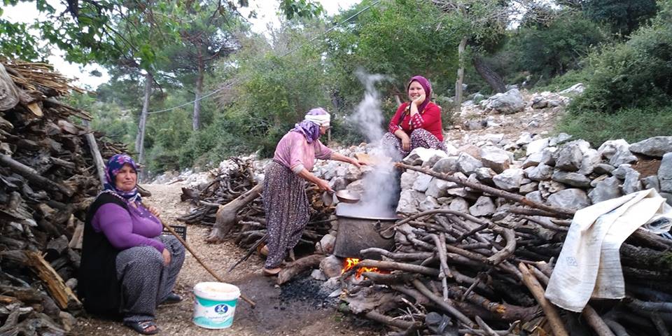 Barakdağı köyünde andız pekmezi yapımı.. 5