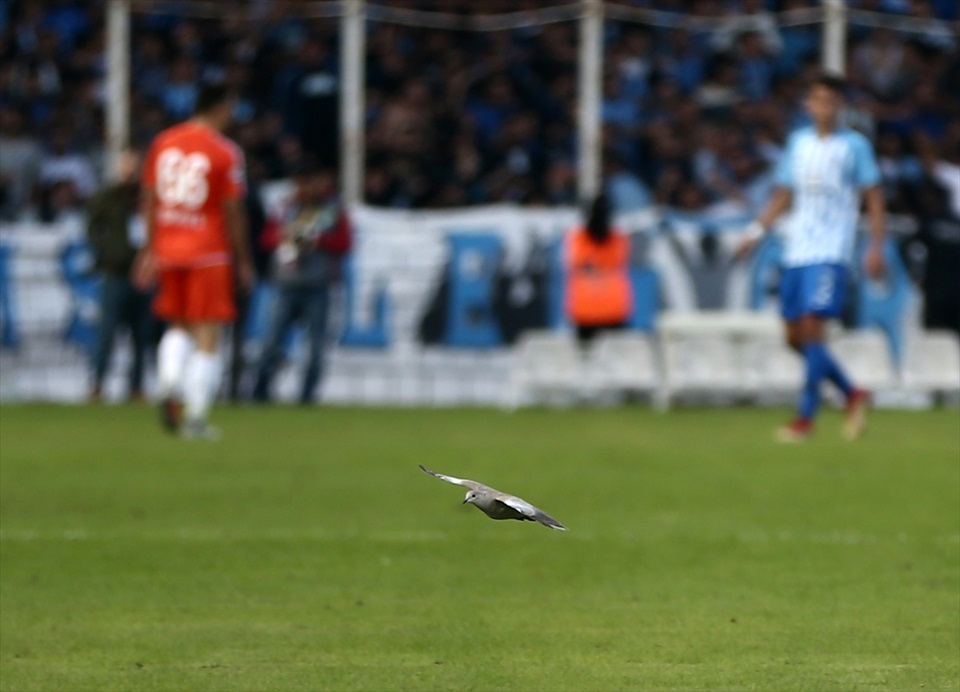 Adana Demirspor, Adanaspor'la 1-1 Berabere Kaldı.. 7