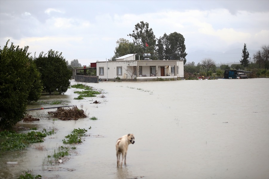 Adana'da nehir taştı 11