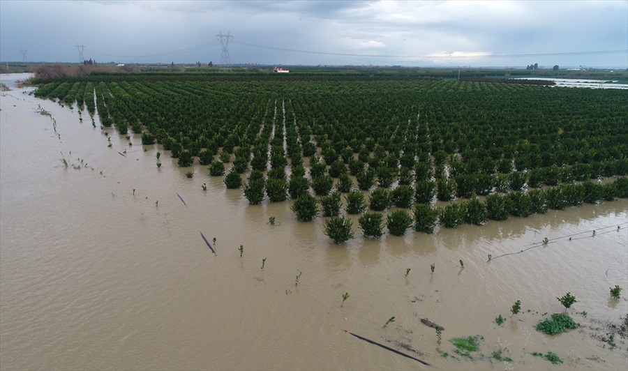 Adana'da nehir taştı 15