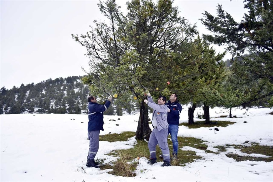 Soğuktan etkilenen hayvanlara yardım eli 3