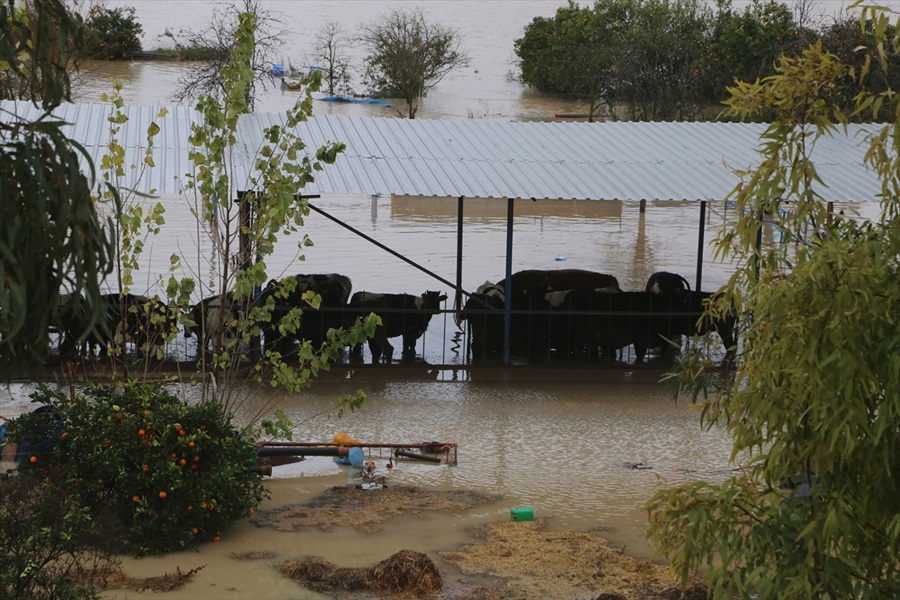 Doğu Akdeniz'de kış 14