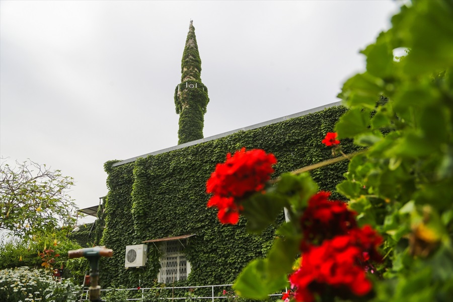 Adana'da serinliğin adresi: "Yeşil Cami" 1