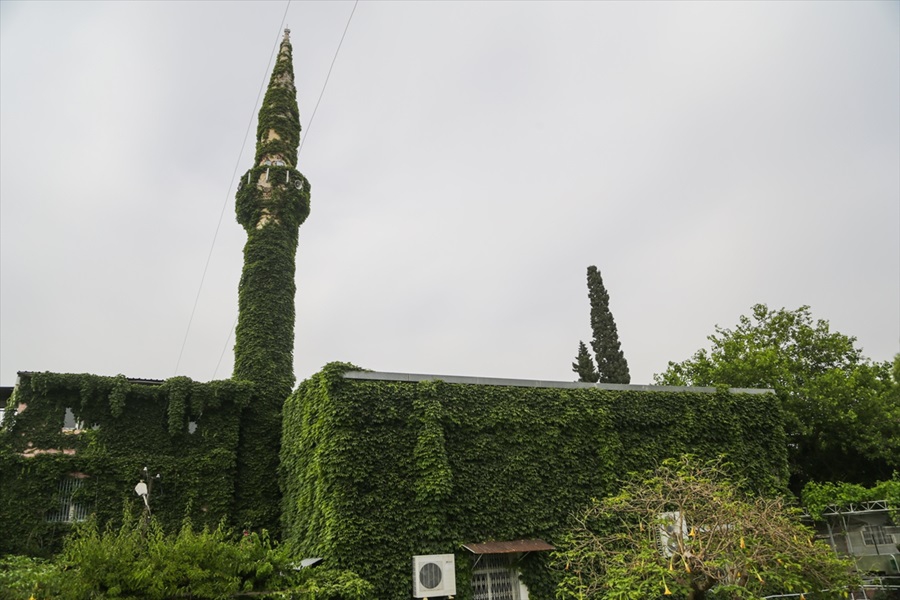 Adana'da serinliğin adresi: "Yeşil Cami" 3