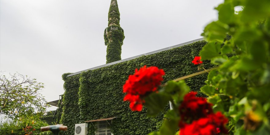 Adana'da serinliğin adresi: "Yeşil Cami"