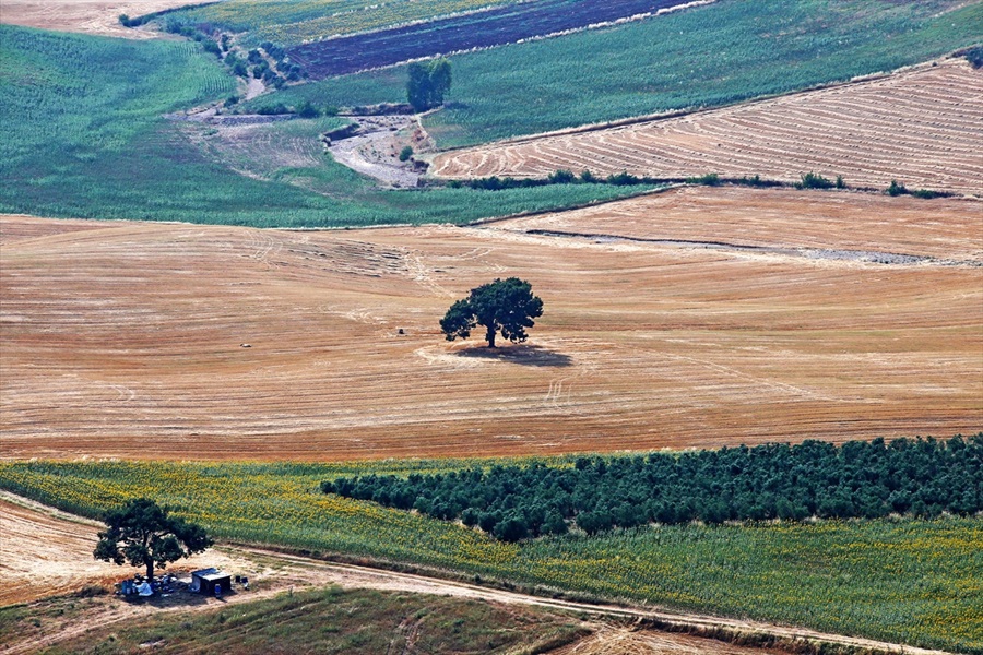 Gökyüzünden Çukurova 4