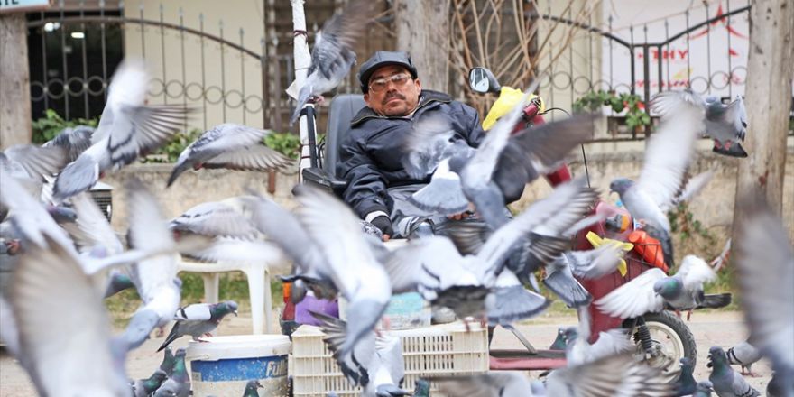 Özenle beslediği güvercinler ekmek kapısı oldu