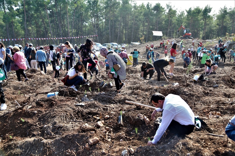 Adana’da Milli Ağaçlandırma Günü 12