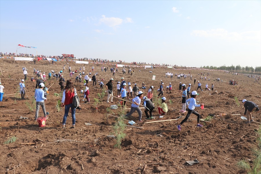 Adana’da Milli Ağaçlandırma Günü 3