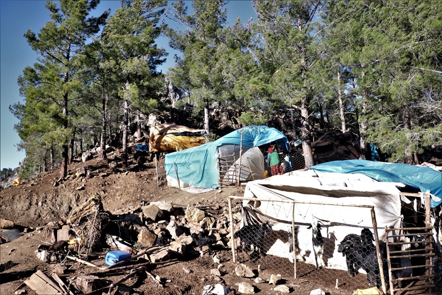 Sarıkeçili Yörükleri "en değerli varlıklarını" depremzedeler için bağışl 15