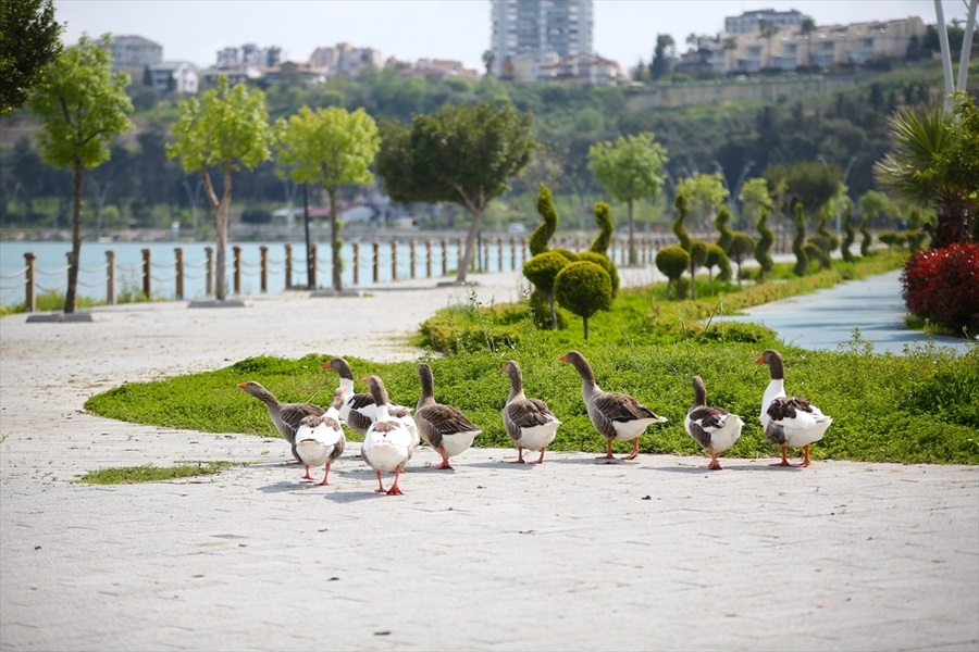 Adana'da koronavirüs önlemleri.. 5