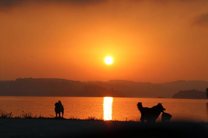 Adana'da sabah 6