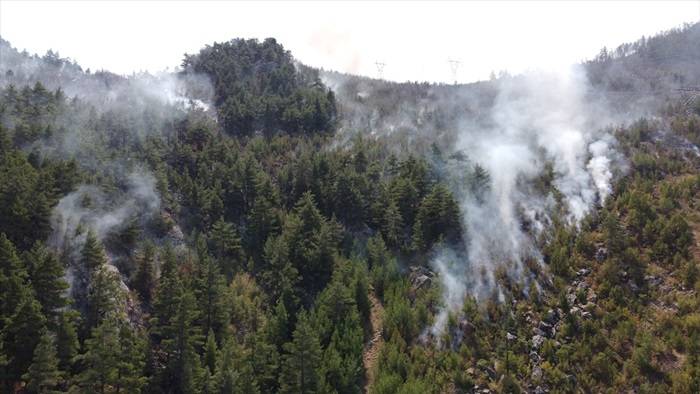 Adana'daki orman yangını drone ile havadan görüntülendi 5