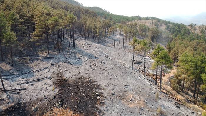 Adana'daki orman yangını drone ile havadan görüntülendi 6