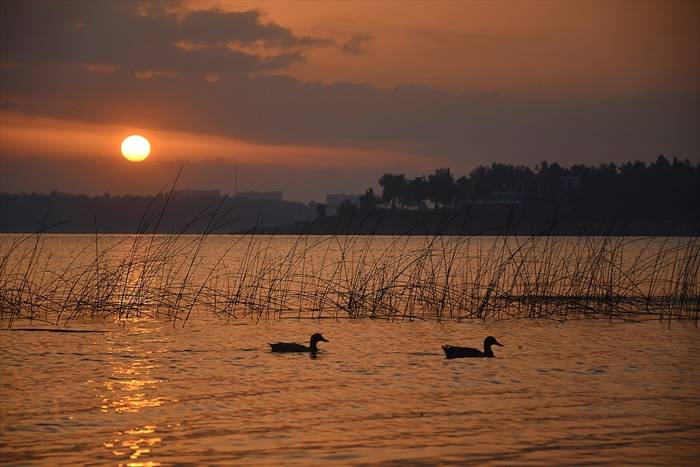 Adana'da gün doğumu 1